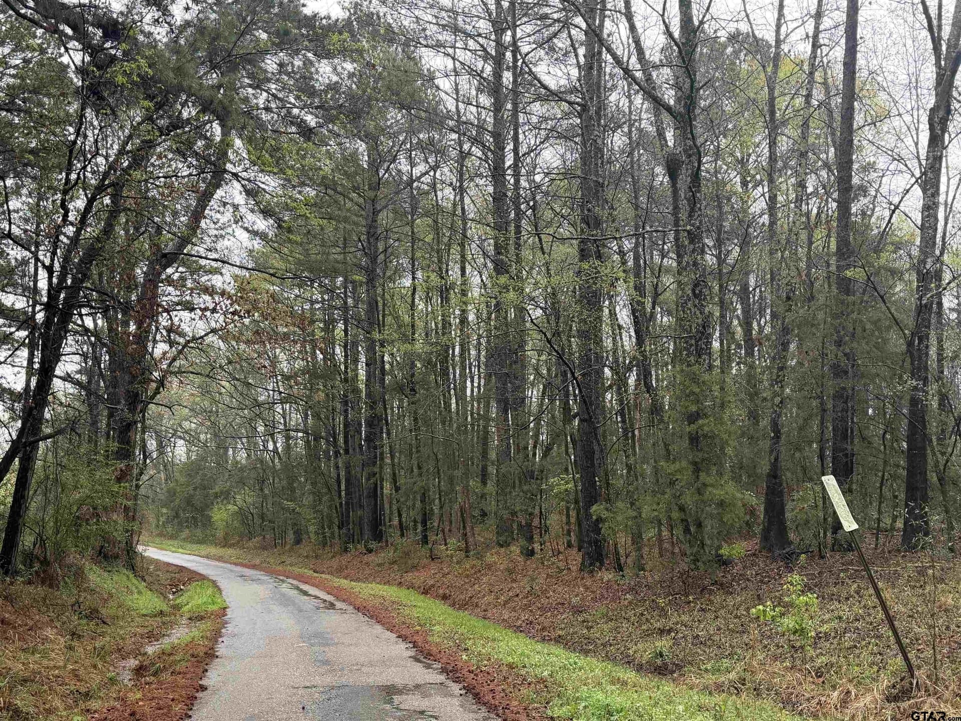 3 acres in Morris County - photo 3