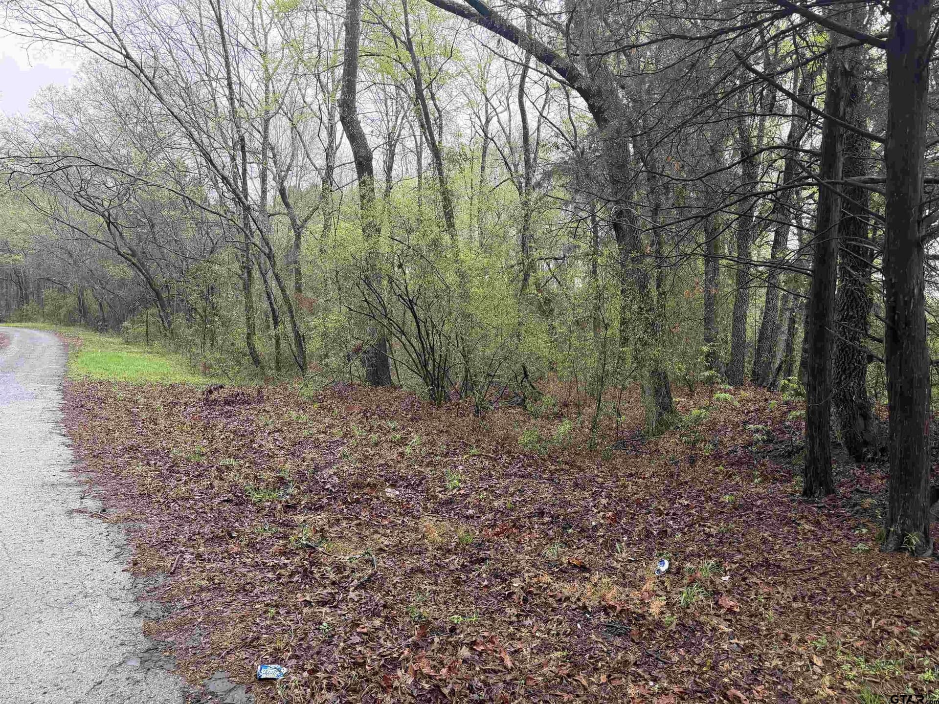 3 acres in Morris County - photo 8