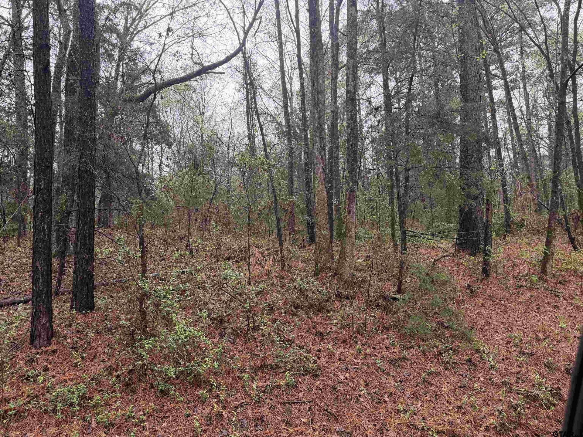 3 acres in Morris County - photo 6