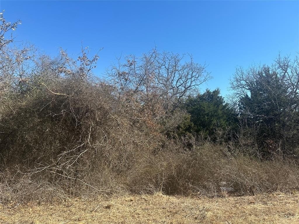 5 acres in Parker County - photo 5