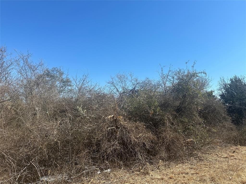 5 acres in Parker County - photo 7