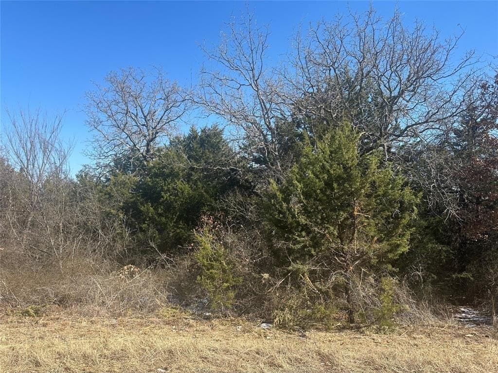 5 acres in Parker County - photo 3