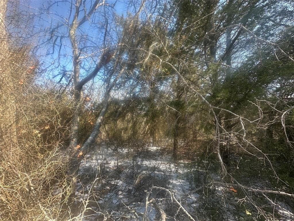 5 acres in Parker County - photo 9