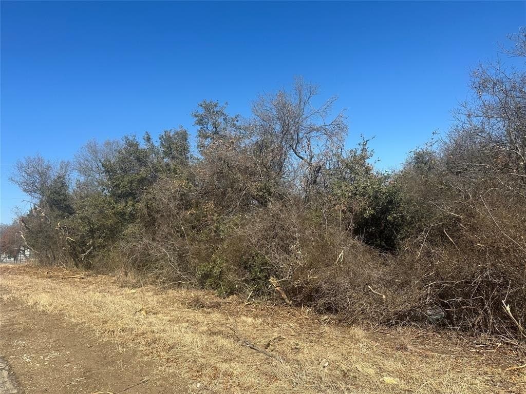 5 acres in Parker County - photo 8