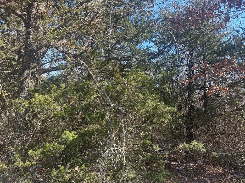 5 acres in Parker County - photo 6