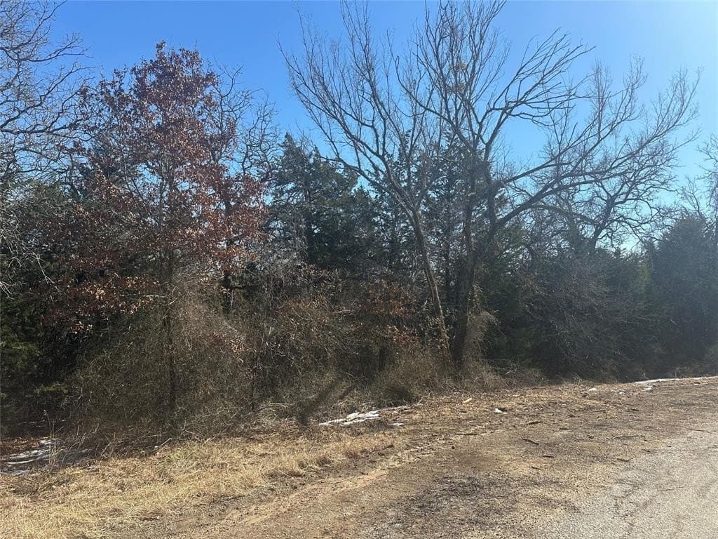 5 acres in Parker County - photo 2