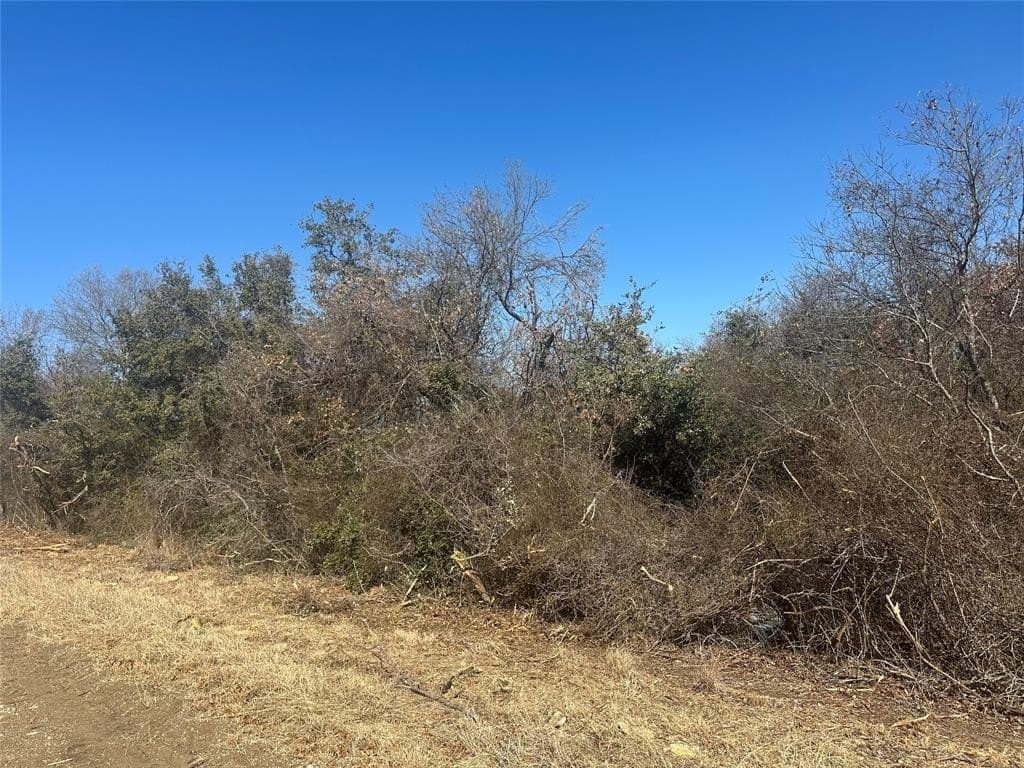 5 acres in Parker County - photo 4