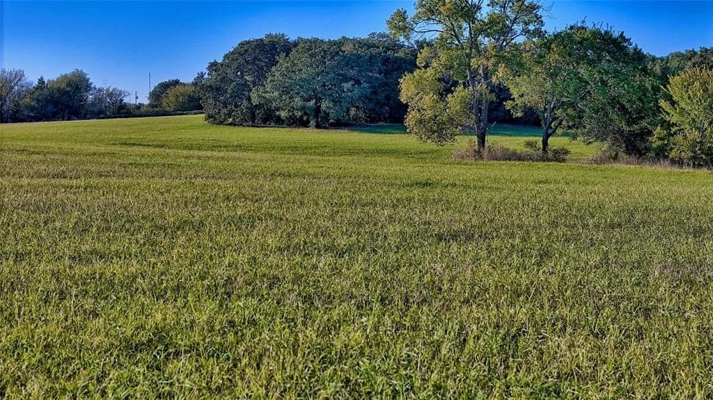 24.28 acres in Montague County - photo 27