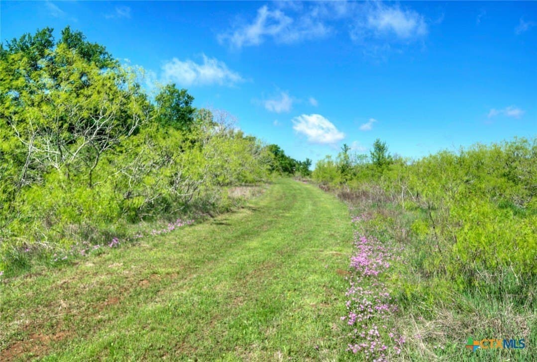 51.04 acres in Bastrop County - photo 31