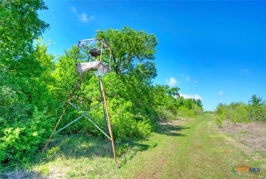 51.04 acres in Bastrop County - photo 30