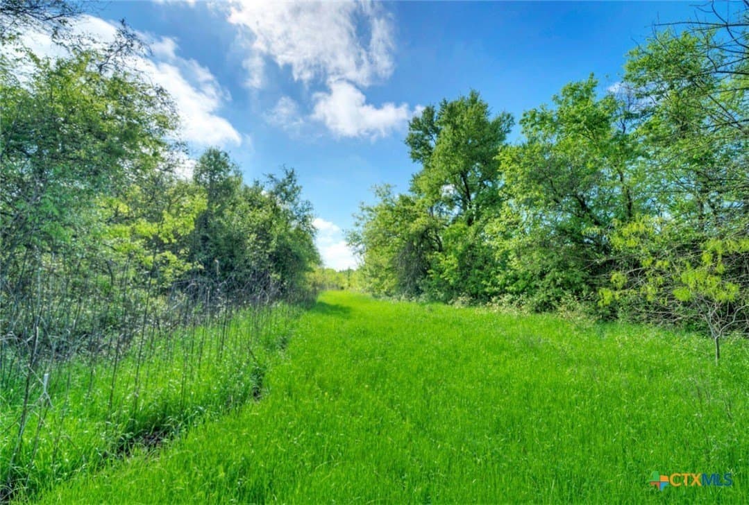 51.04 acres in Bastrop County - photo 32