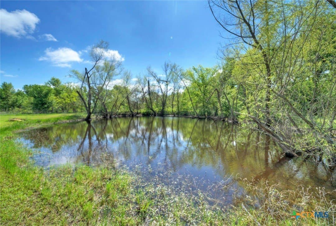 51.04 acres in Bastrop County - photo 29