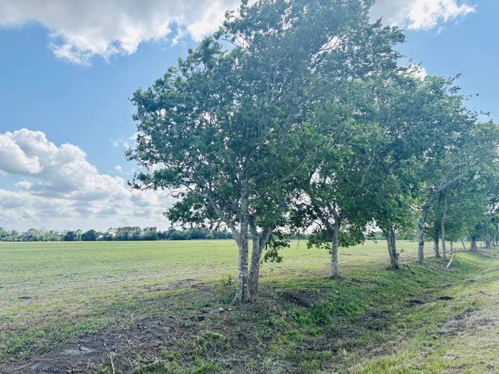 5 acres in Texas County - photo 3