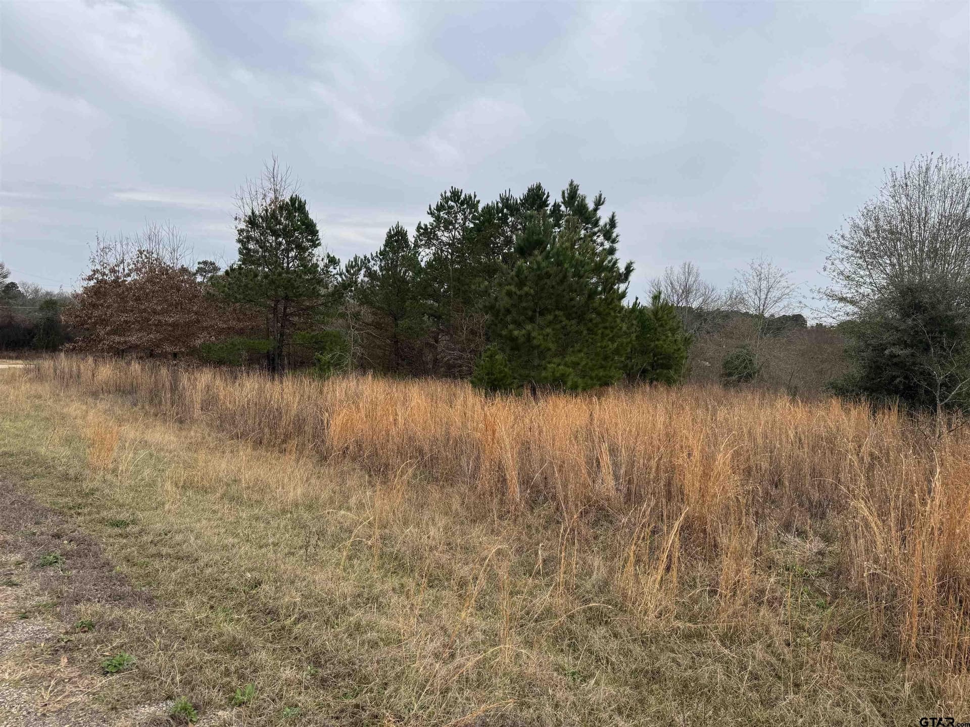 0.92 acres in Cherokee County - photo 7