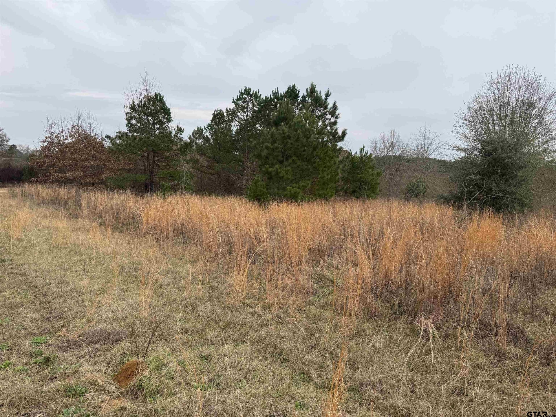 0.92 acres in Cherokee County - photo 5