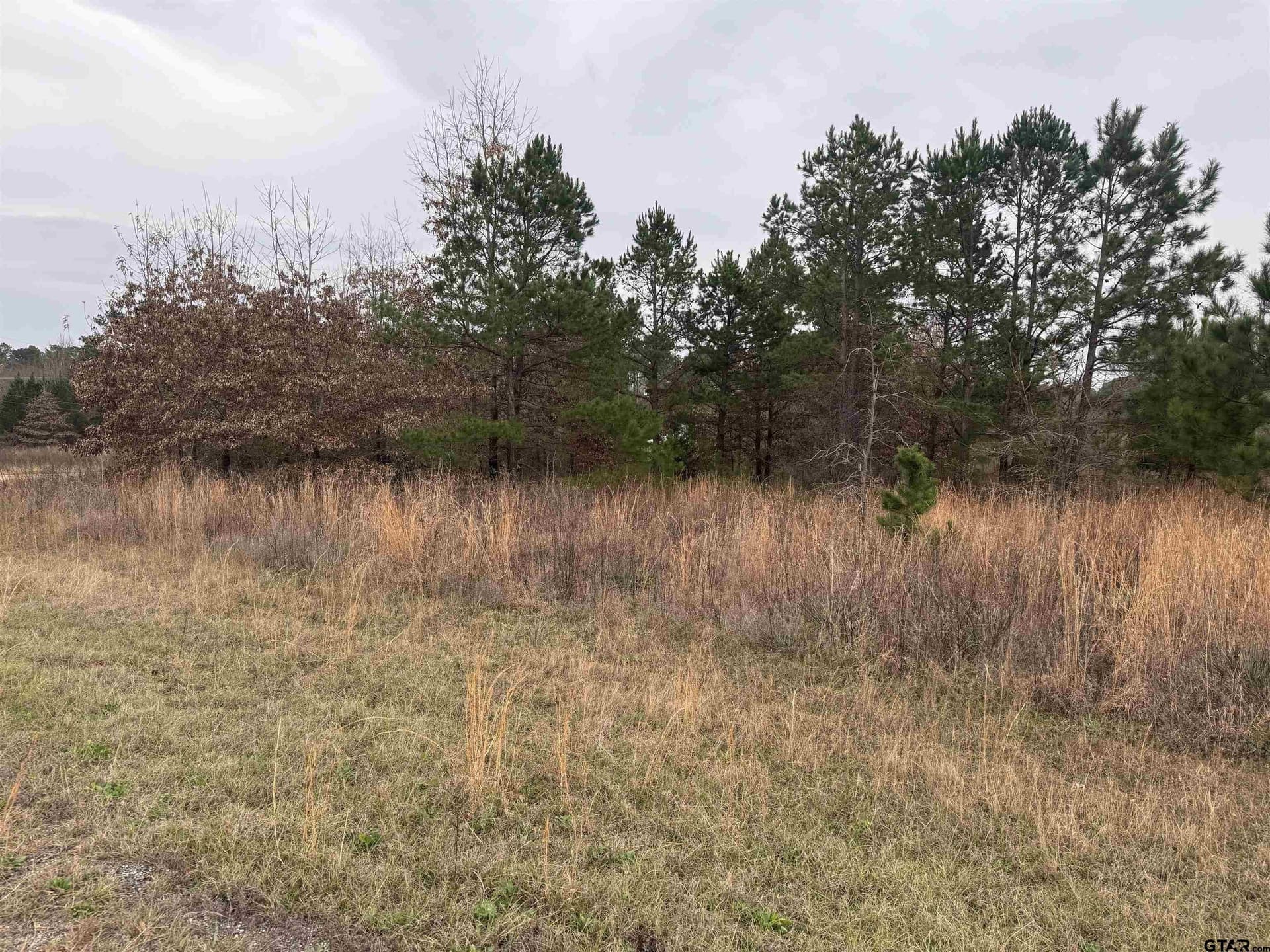 0.92 acres in Cherokee County - photo 11