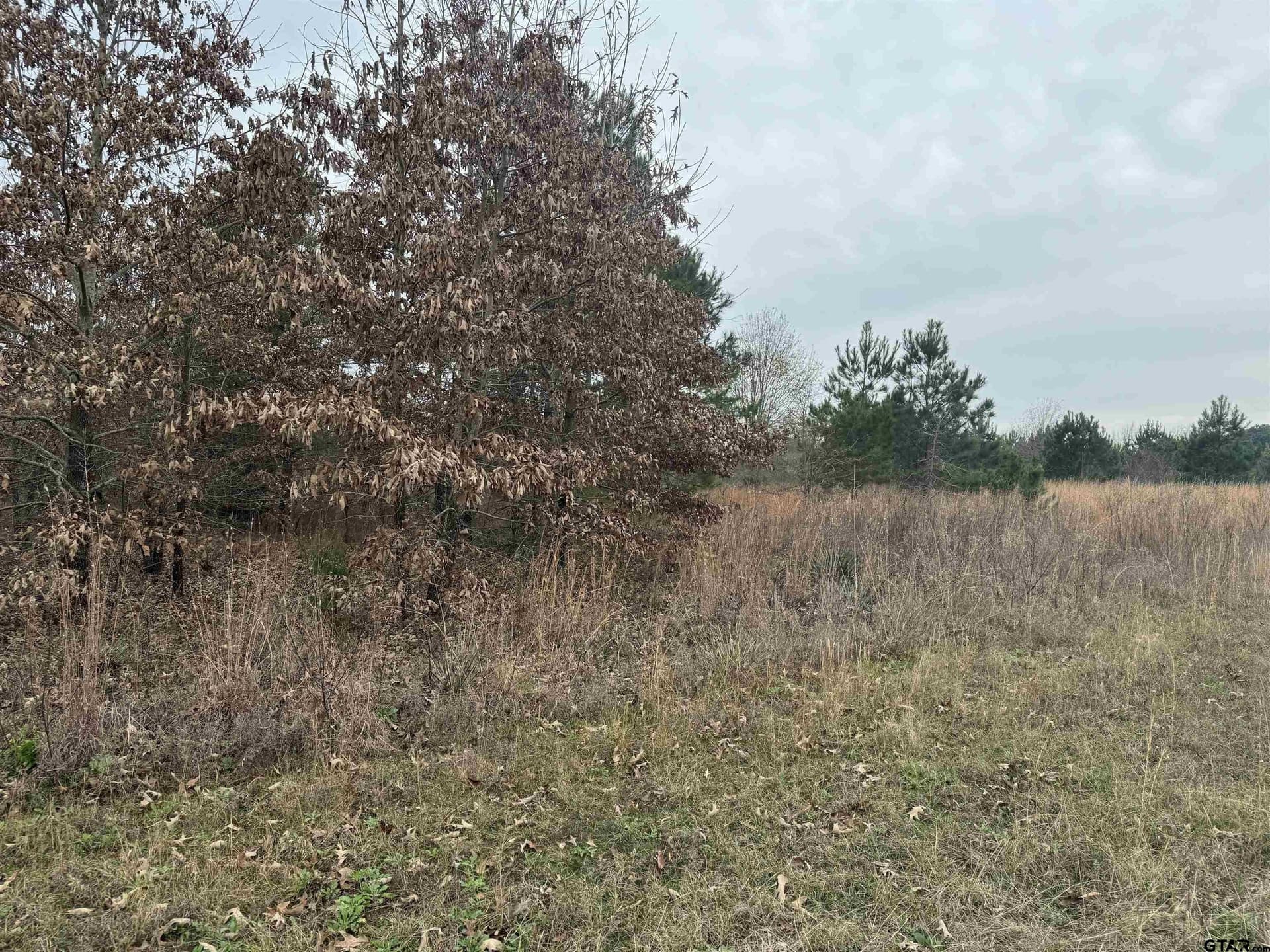 0.92 acres in Cherokee County - photo 10