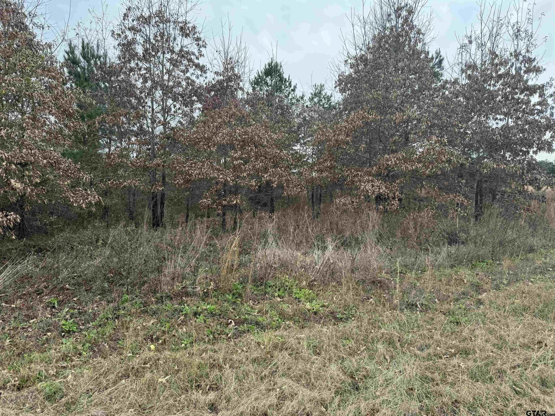 0.92 acres in Cherokee County - photo 9