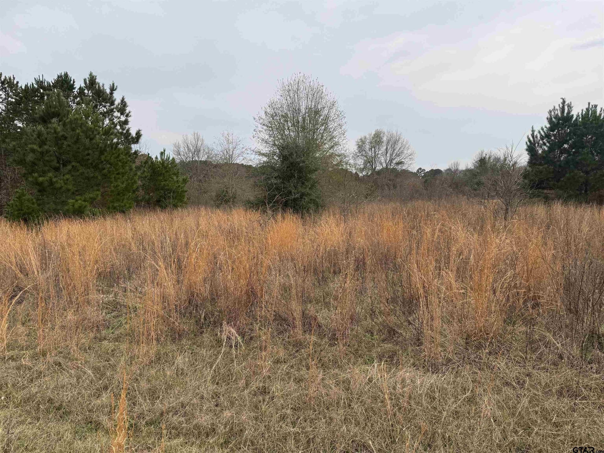 0.92 acres in Cherokee County - photo 6