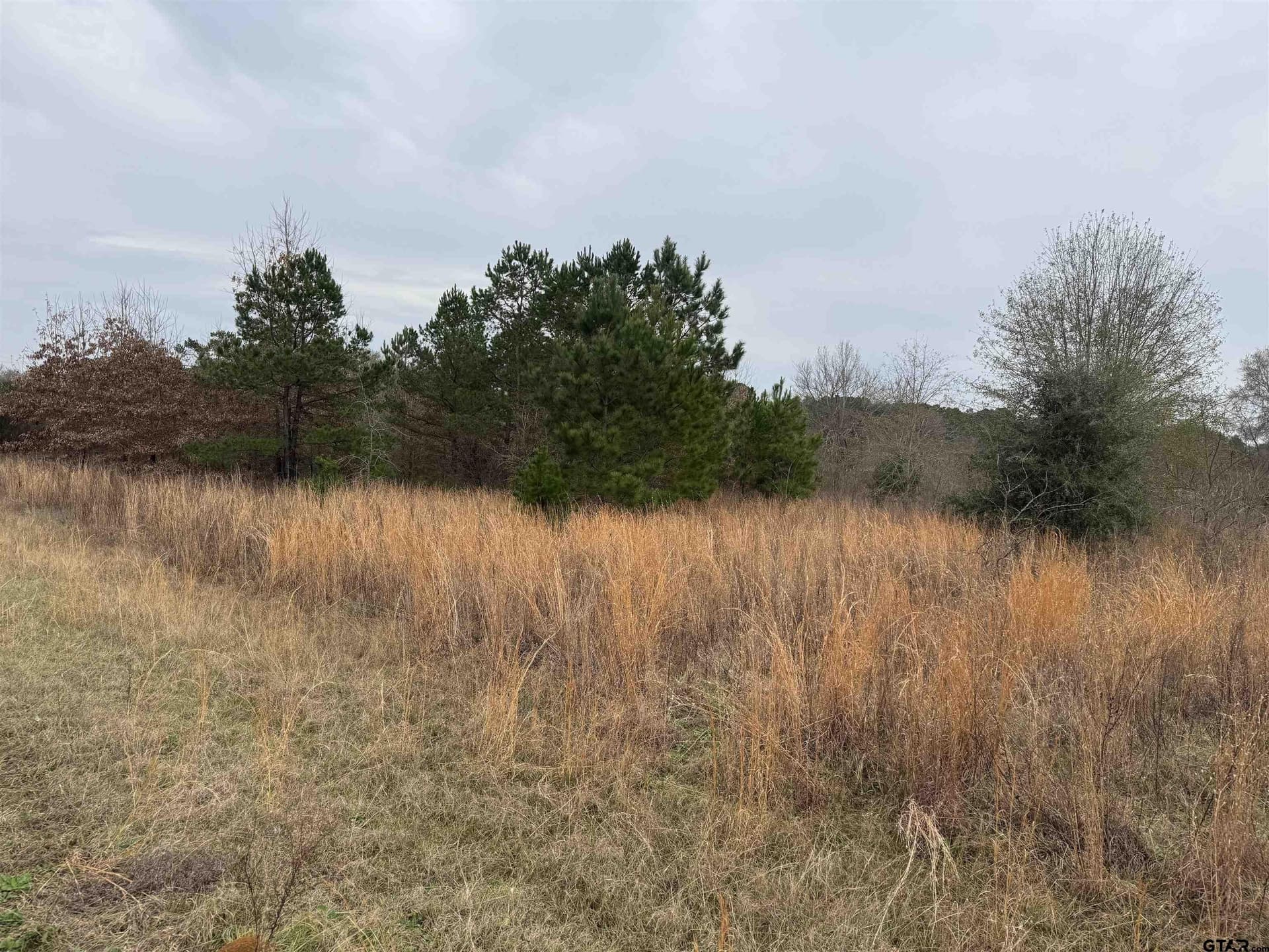 0.92 acres in Cherokee County - photo 4