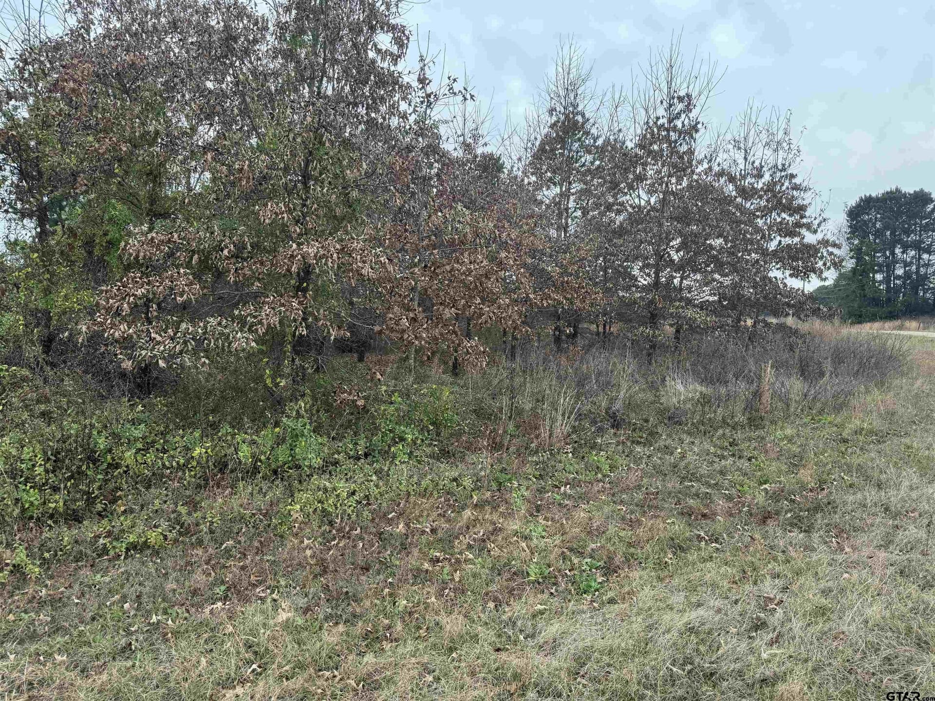 0.92 acres in Cherokee County - photo 8