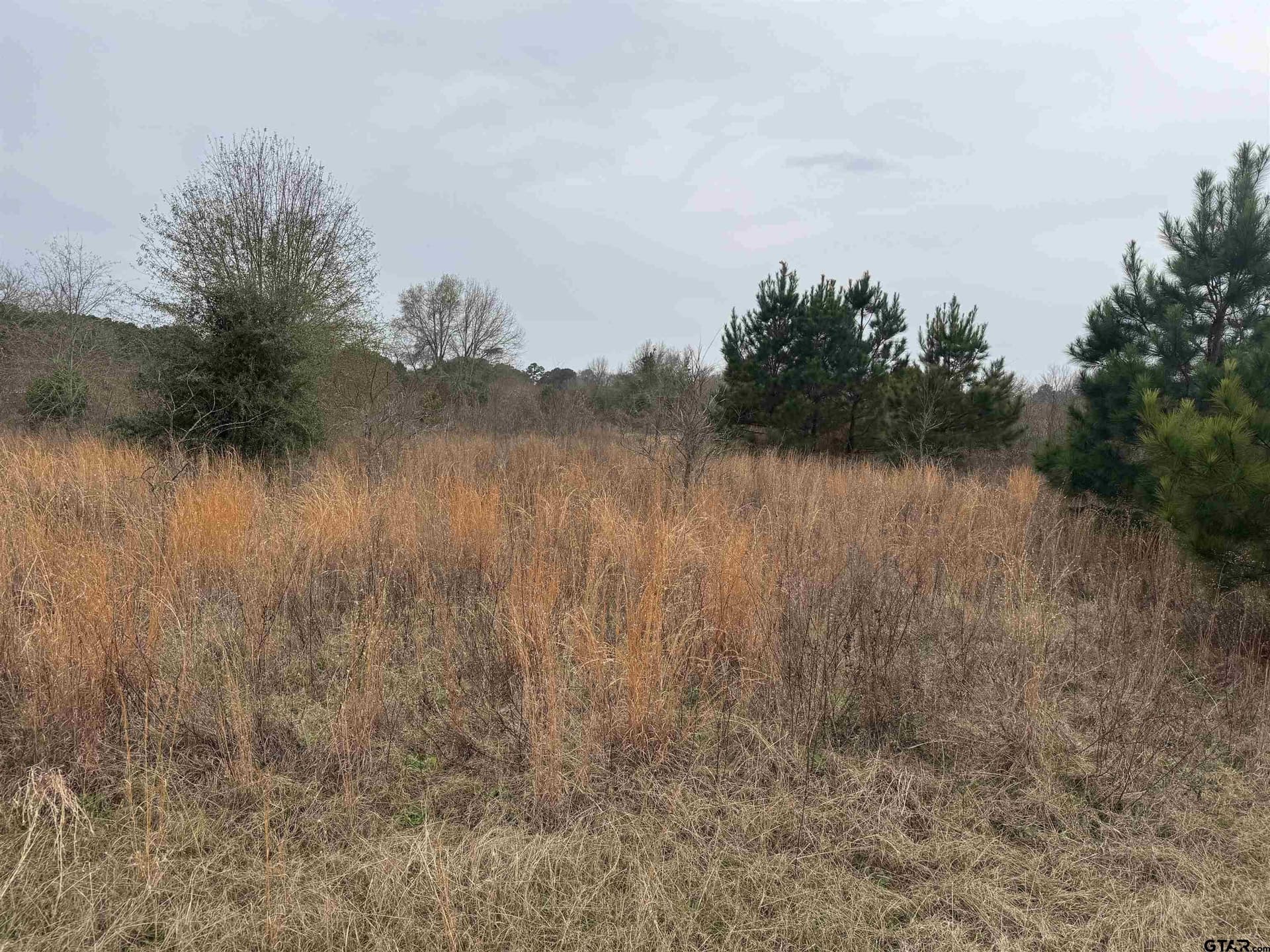 1335 San Saba