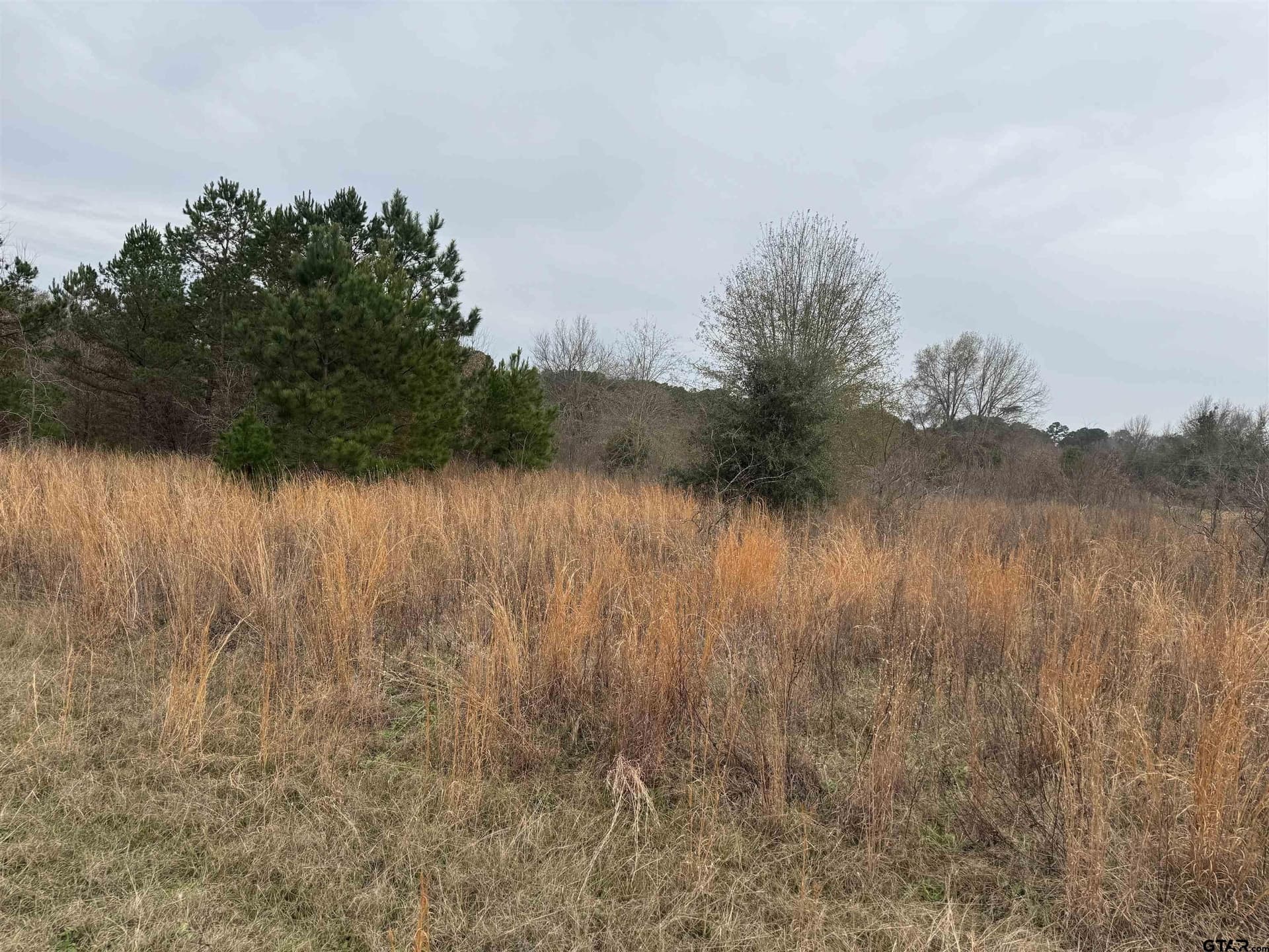 0.92 acres in Cherokee County - photo 3