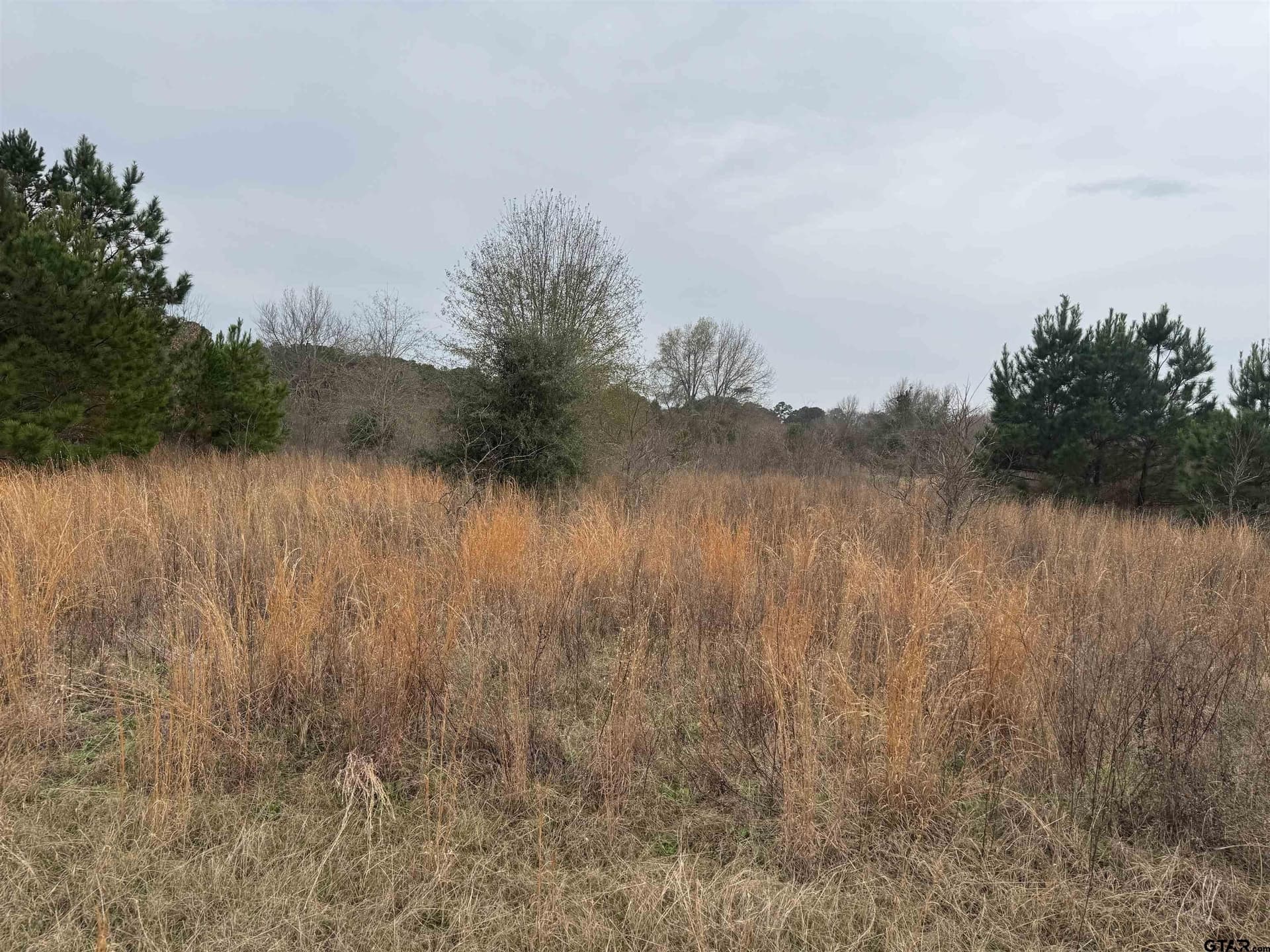 0.92 acres in Cherokee County - photo 2