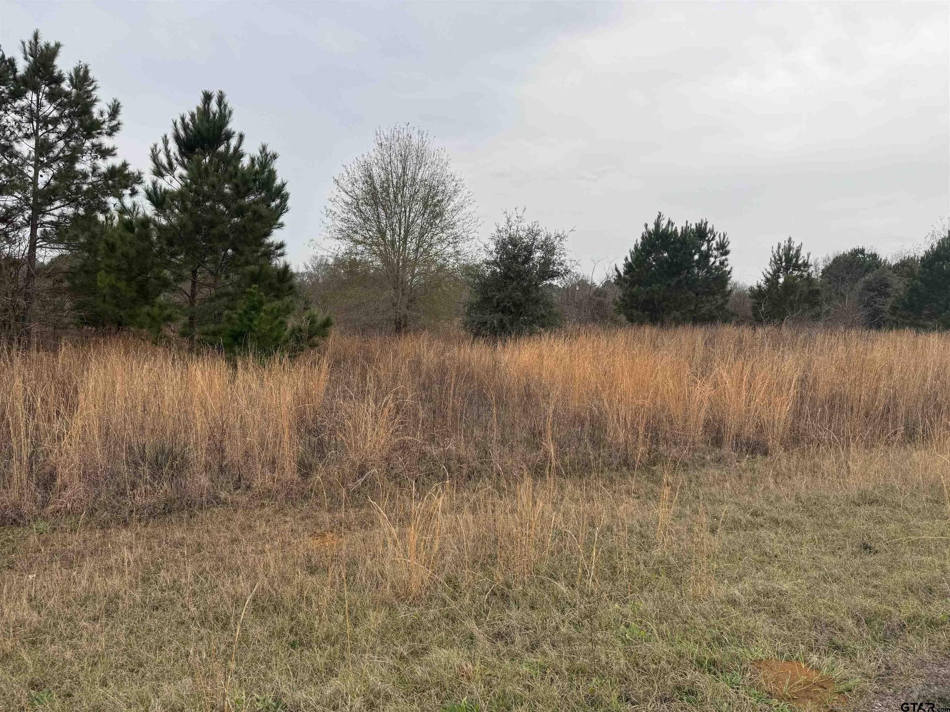 0.92 acres in Cherokee County - photo 12