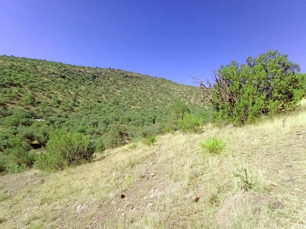 5.67 acres in Jeff Davis County - photo 5