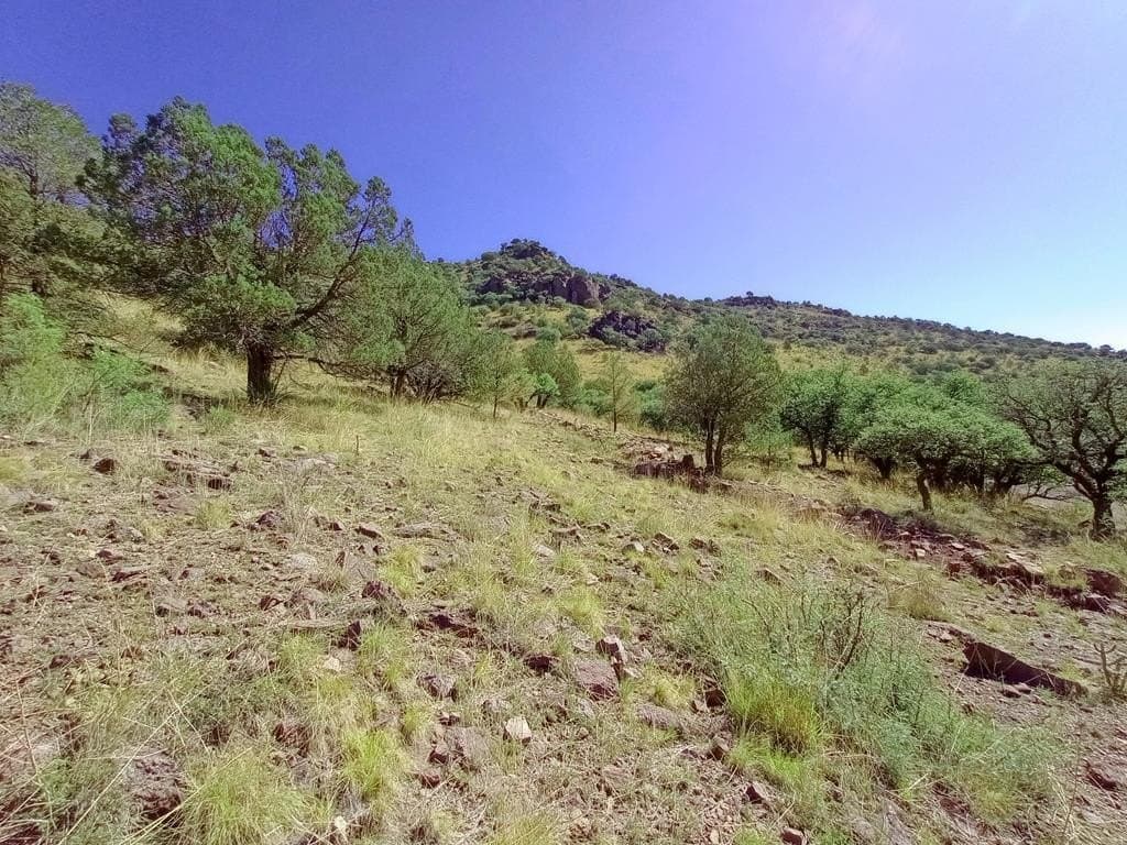 5.67 acres in Jeff Davis County - photo 3