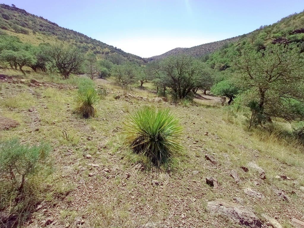 5.67 acres in Jeff Davis County - photo 4