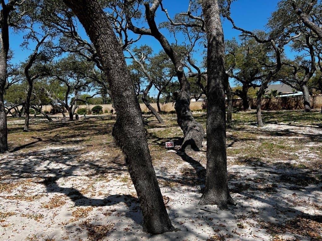 0 acres in Aransas County - photo 2