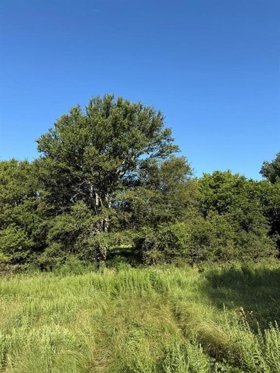 23.56 acres in Montague County - photo 13