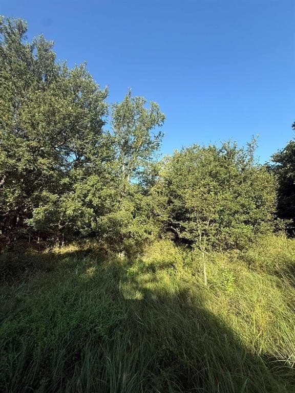 23.56 acres in Montague County - photo 29