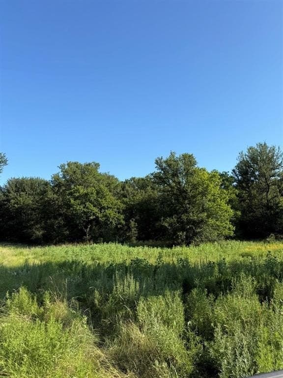 23.56 acres in Montague County - photo 8