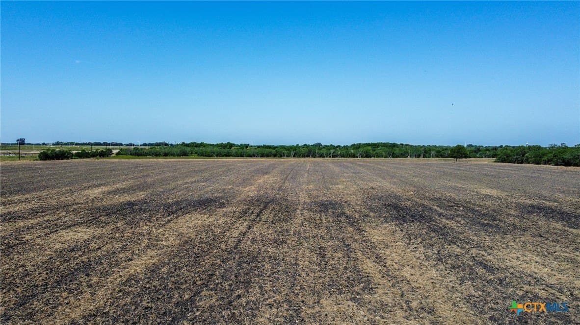 73.15 acres in Guadalupe County - photo 5