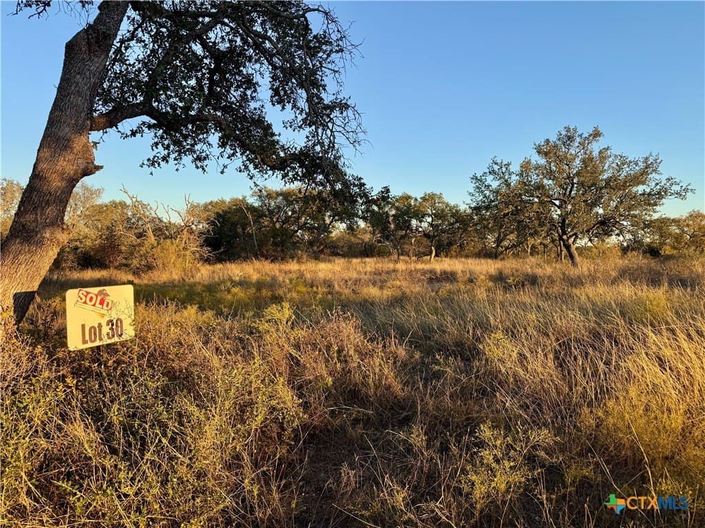 10 acres in San Saba County - photo 3