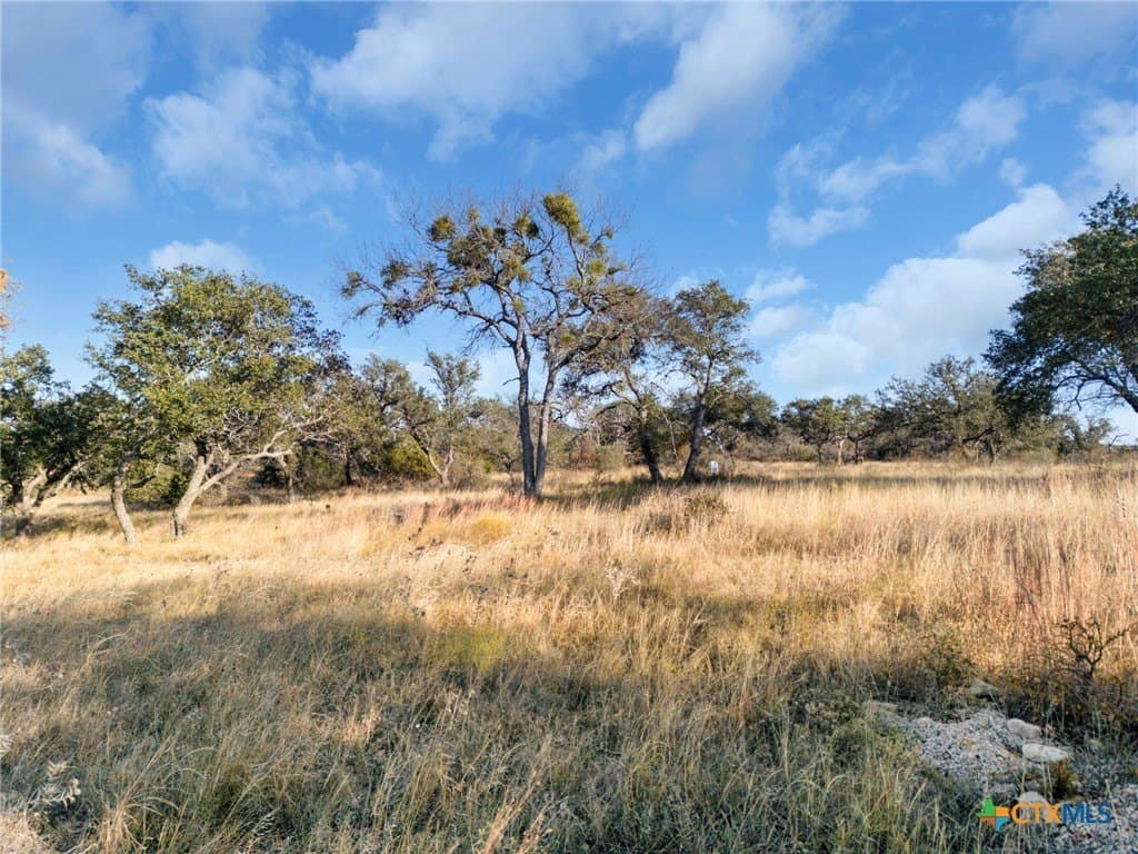 10 acres in San Saba County - photo 8