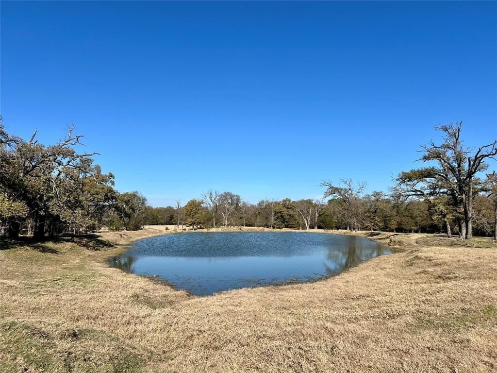 151.44 acres in Henderson County - photo 6