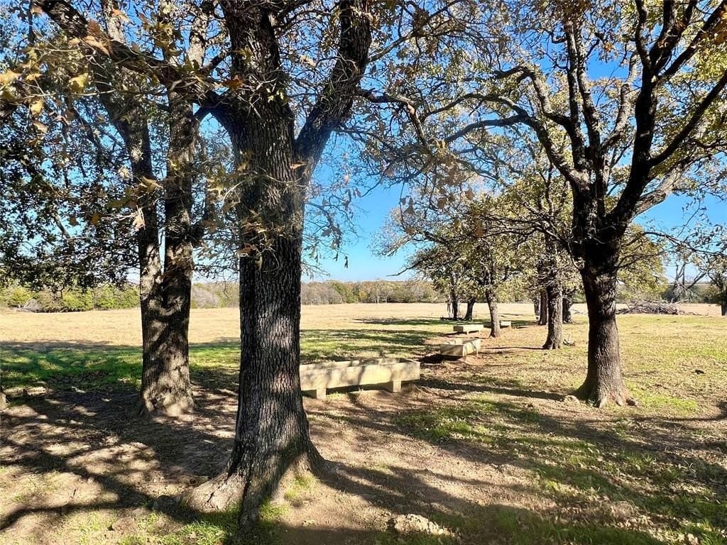 151.44 acres in Henderson County - photo 16