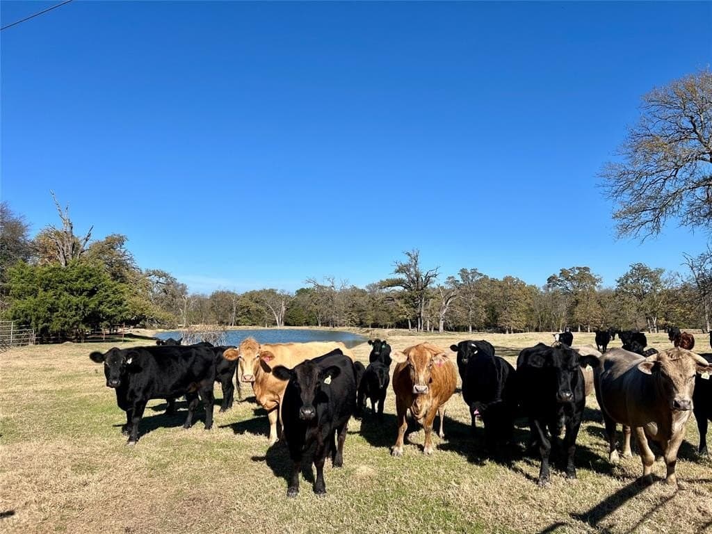 151.44 acres in Henderson County - photo 7