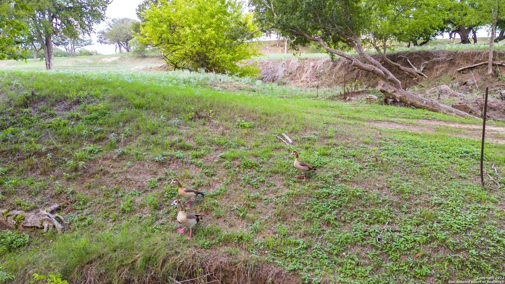 28.77 acres in Kendall County - photo 16