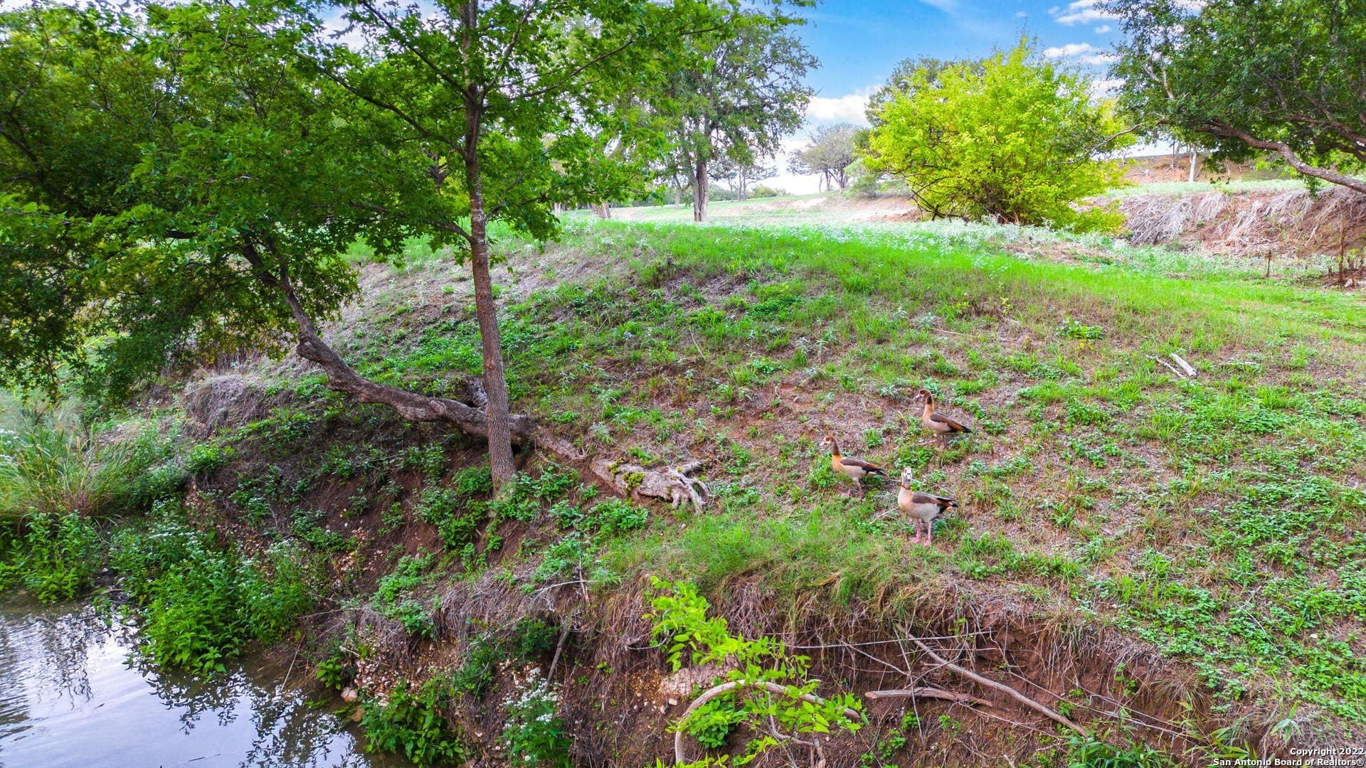28.77 acres in Kendall County - photo 6
