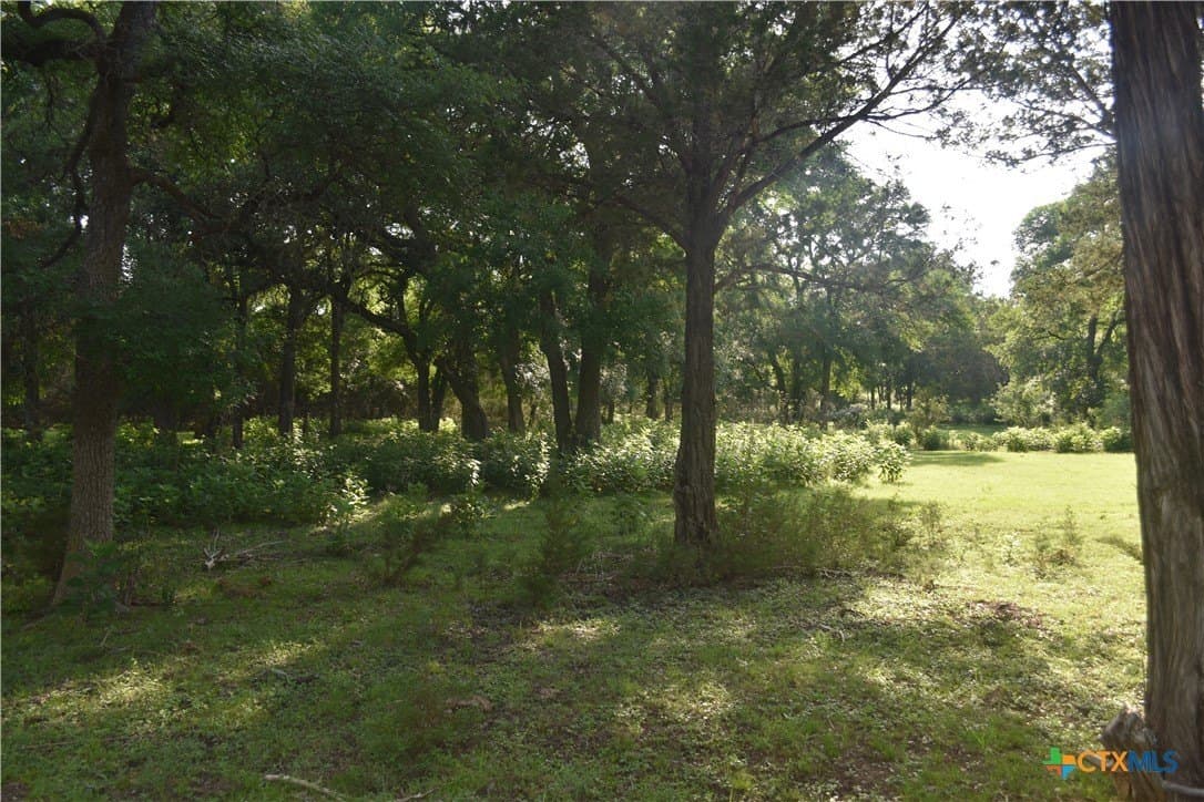 100 acres in Bell County - photo 3