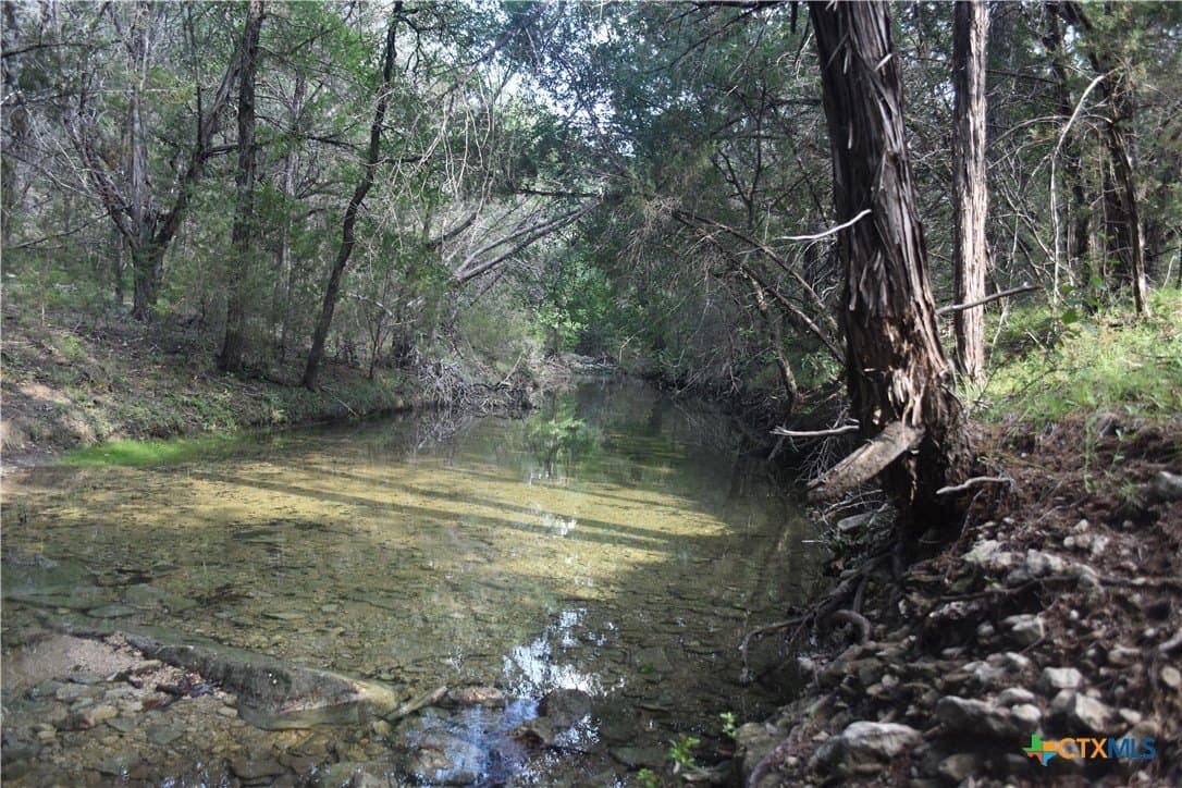 100 acres in Bell County - photo 5