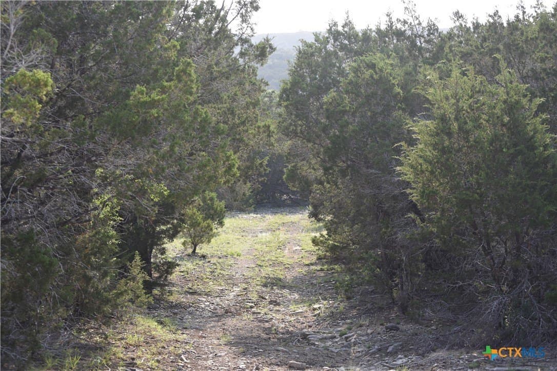 100 acres in Bell County - photo 21