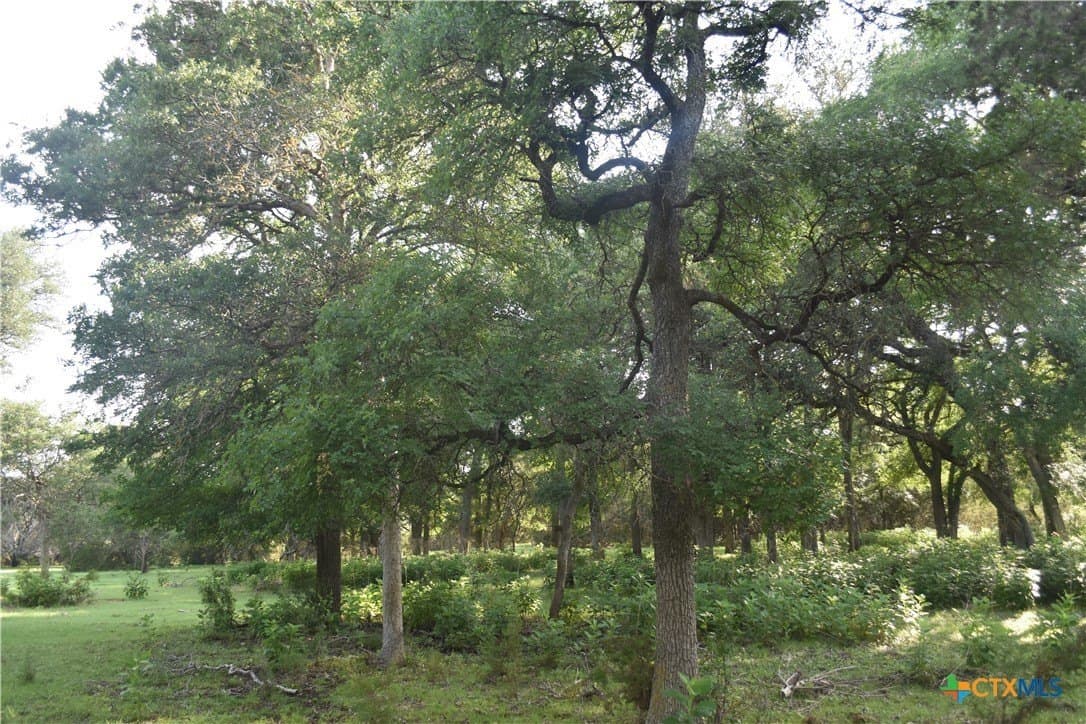 100 acres in Bell County - photo 2