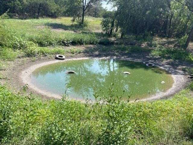 11 acres in Collin County - photo 28
