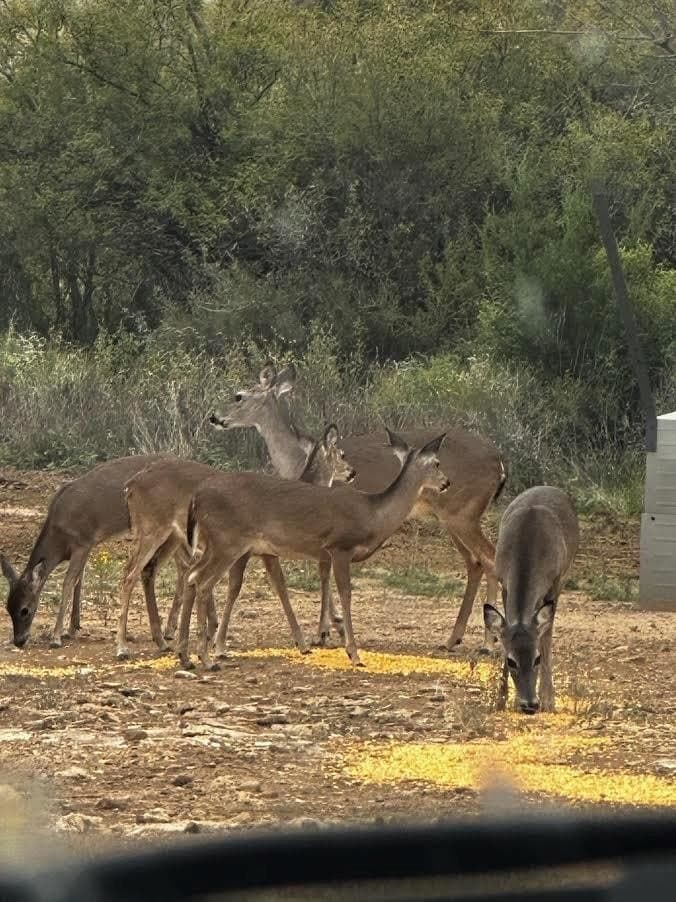 12.19 acres in Concho County - photo 7